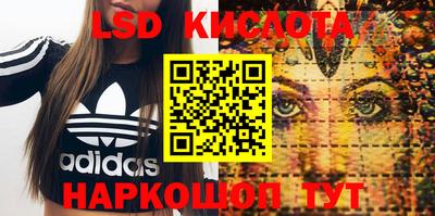 эйфоретик Будённовск