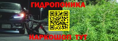 эйфоретик Будённовск
