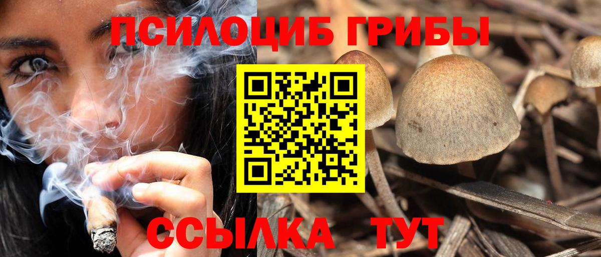 Галлюциногенные грибы прущие грибы  Вход с VPN  Малоярославец  даркнет сайт  Псилоцибиновые грибы ЛСД 