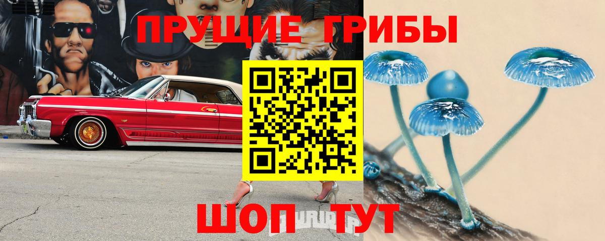 Галлюциногенные грибы GOLDEN TEACHER Малоярославец